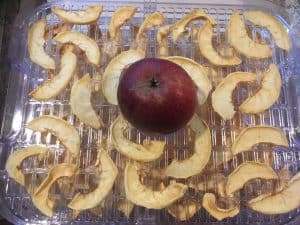 Advantages and disadvantages of dehydrating food