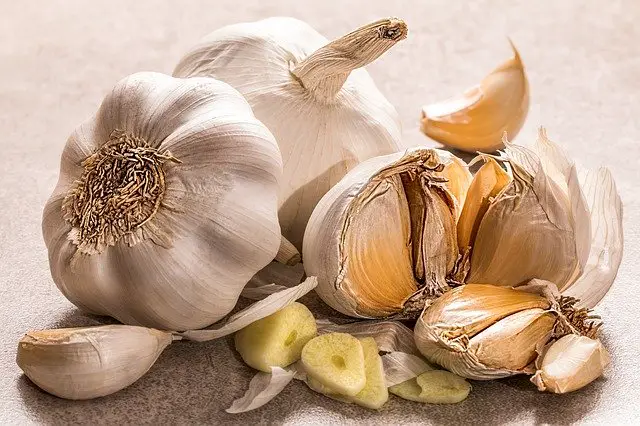 How to Freeze Garlic? Big Guide