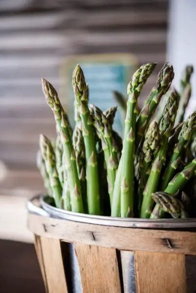 Can You Freeze Asparagus After Cooking