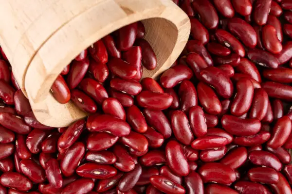Can You Freeze Kidney Beans After Cooking